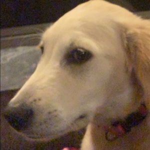 Meet your Posher, Grant